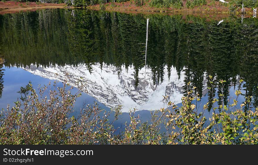 Mt. Rainier Reflection