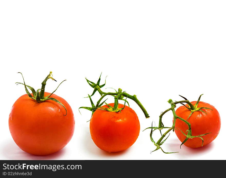 Tomatoes themed collage isolated on white background