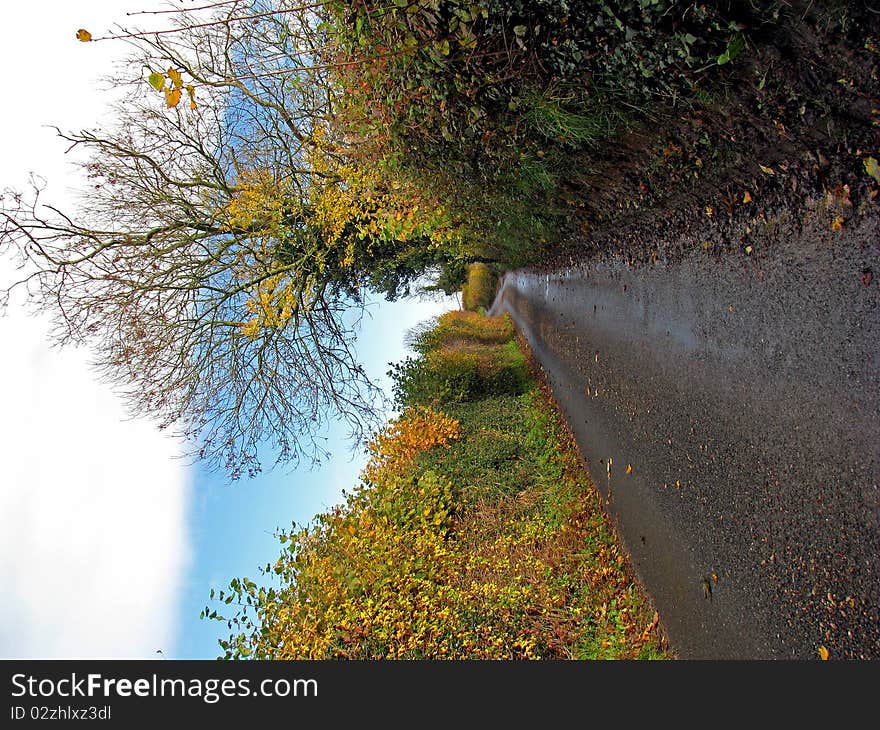 Rural road on a sunny autumn day