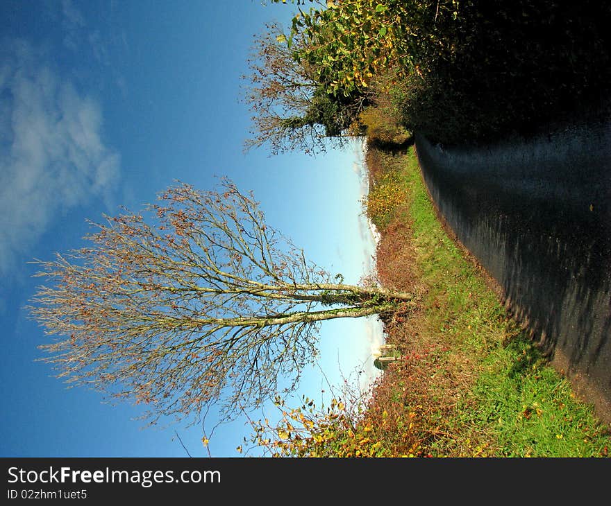 Rural road on a sunny autumn day