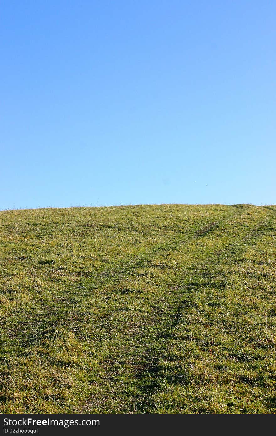 Trails in grass