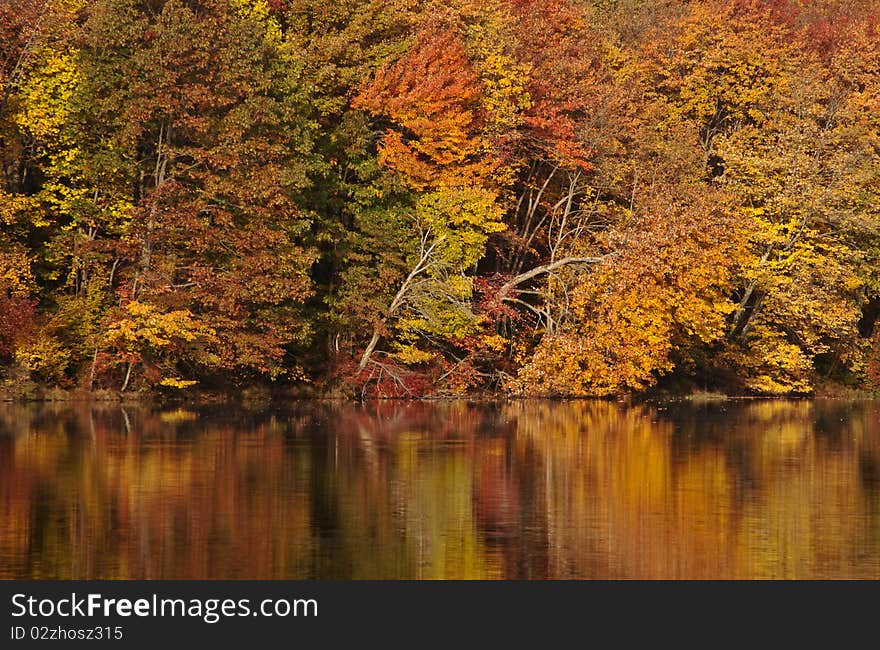 Beautiful colors of Autumn reflecting on a lake. Beautiful colors of Autumn reflecting on a lake.