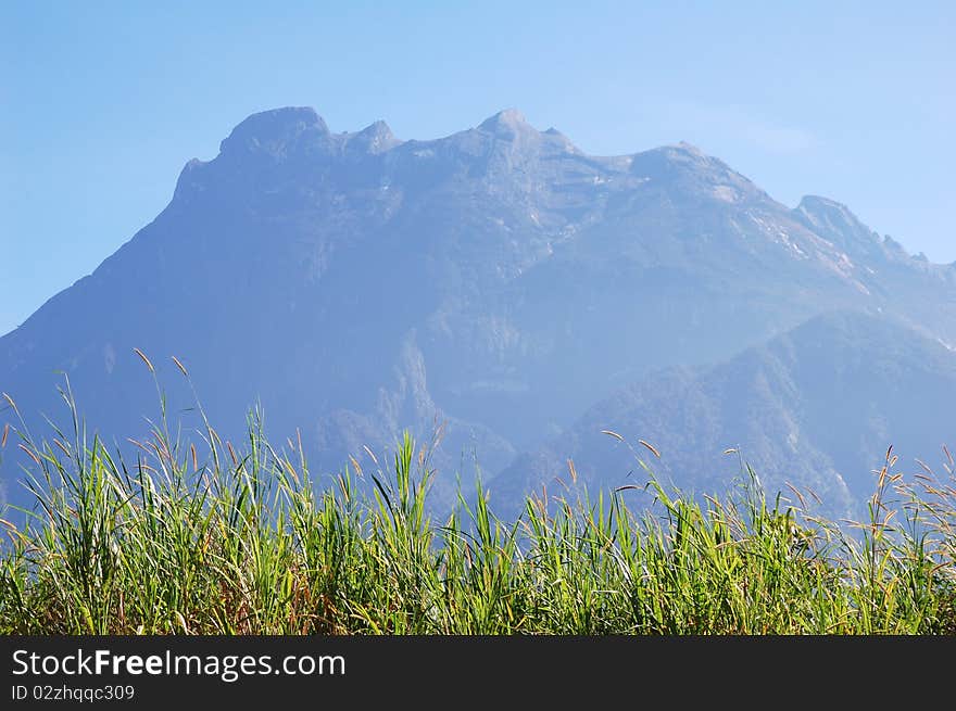 Mount kinabalu at the kinabalu park. Mount kinabalu at the kinabalu park