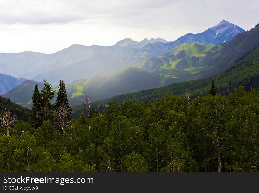 Trees with green mountains in the distance. Trees with green mountains in the distance