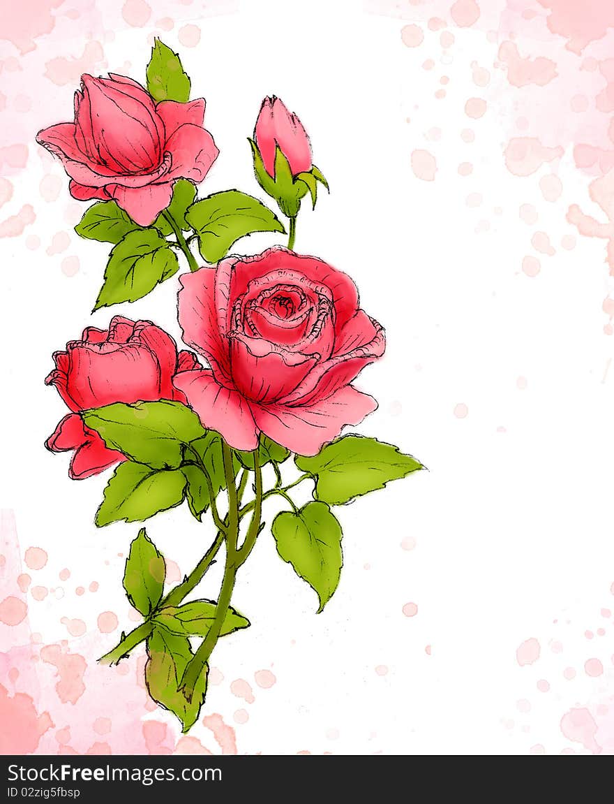 Watercolor background with drawing of red rose