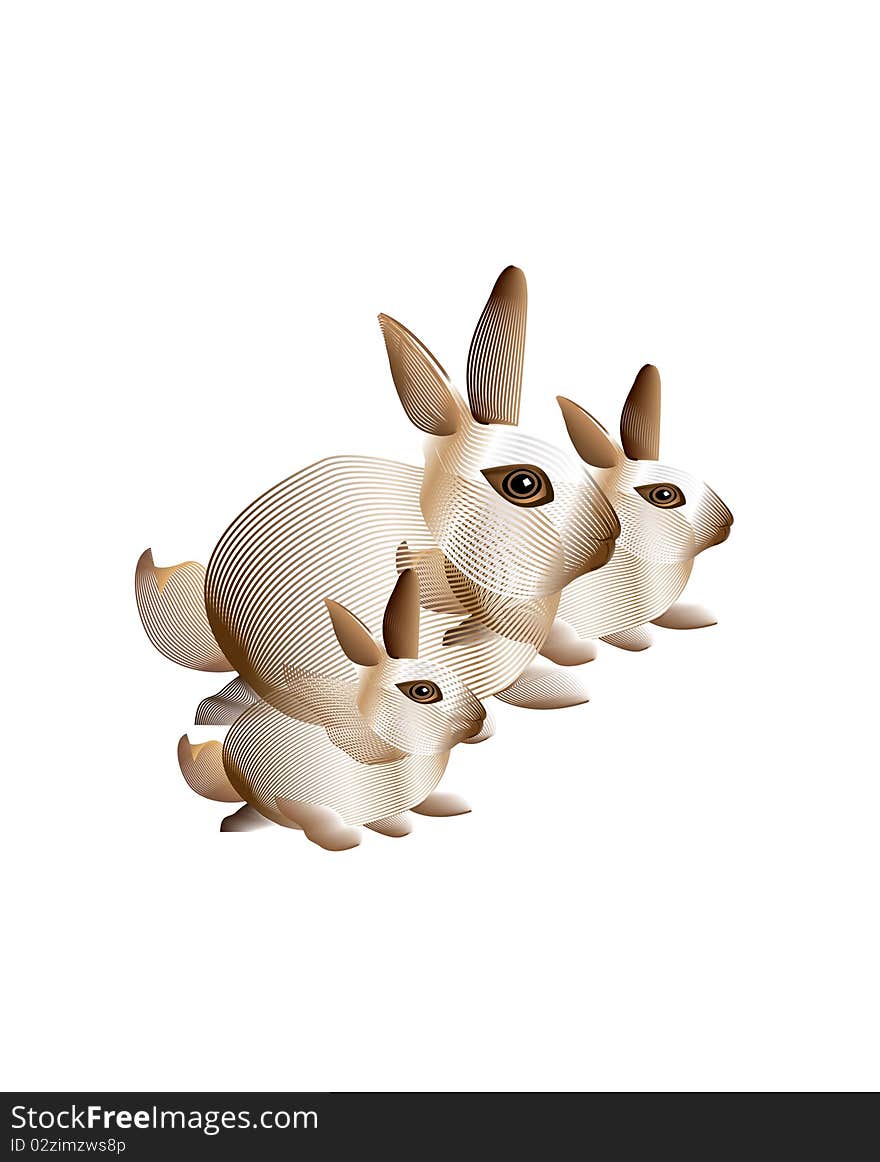 A family of bunny rabbits. A family of bunny rabbits