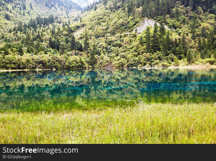 Wuhua lake in  autumn in jiuzhaigou,china