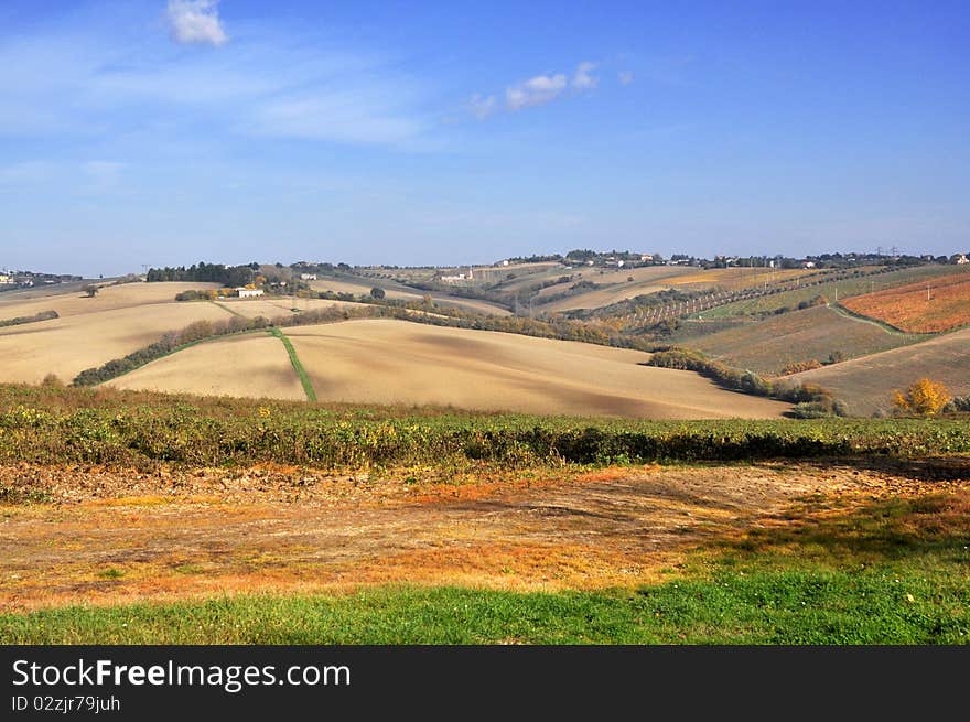 Landscape of yellow fields and countryside in autumn. Landscape of yellow fields and countryside in autumn