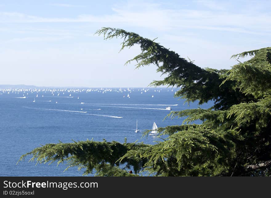 Barcolana, the regatta of Trieste