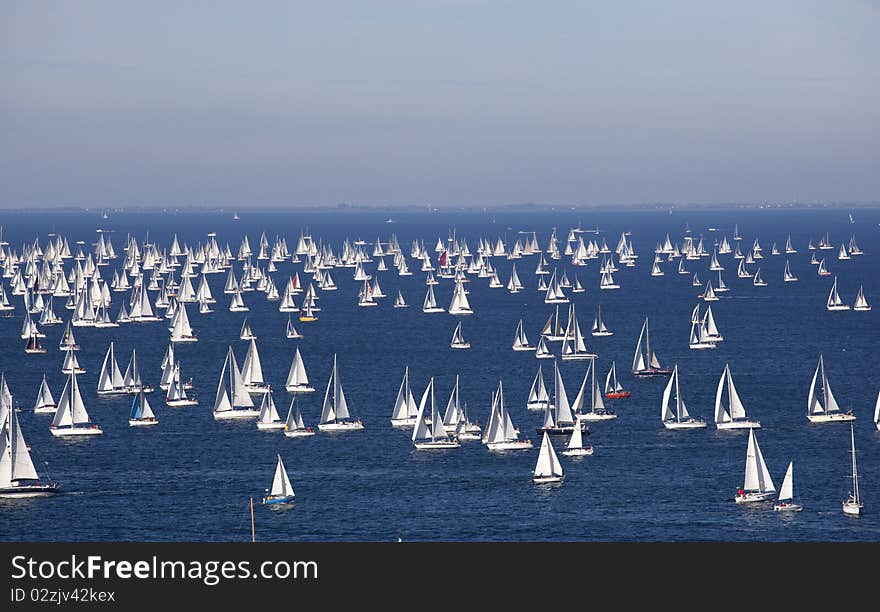 Barcolana, The Trieste regatta