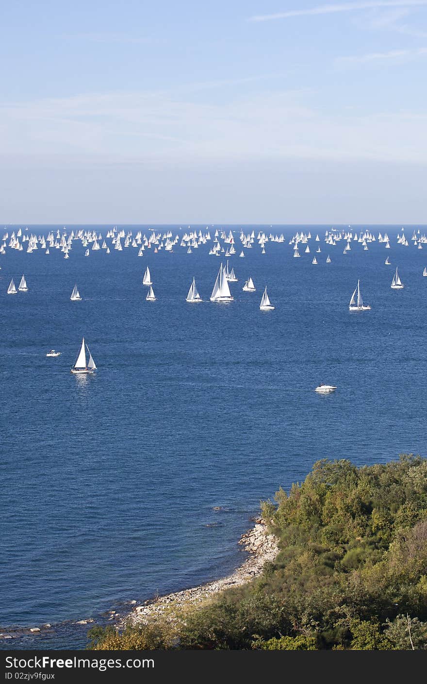 Barcolana, the regatta of Trieste. Barcolana, the regatta of Trieste