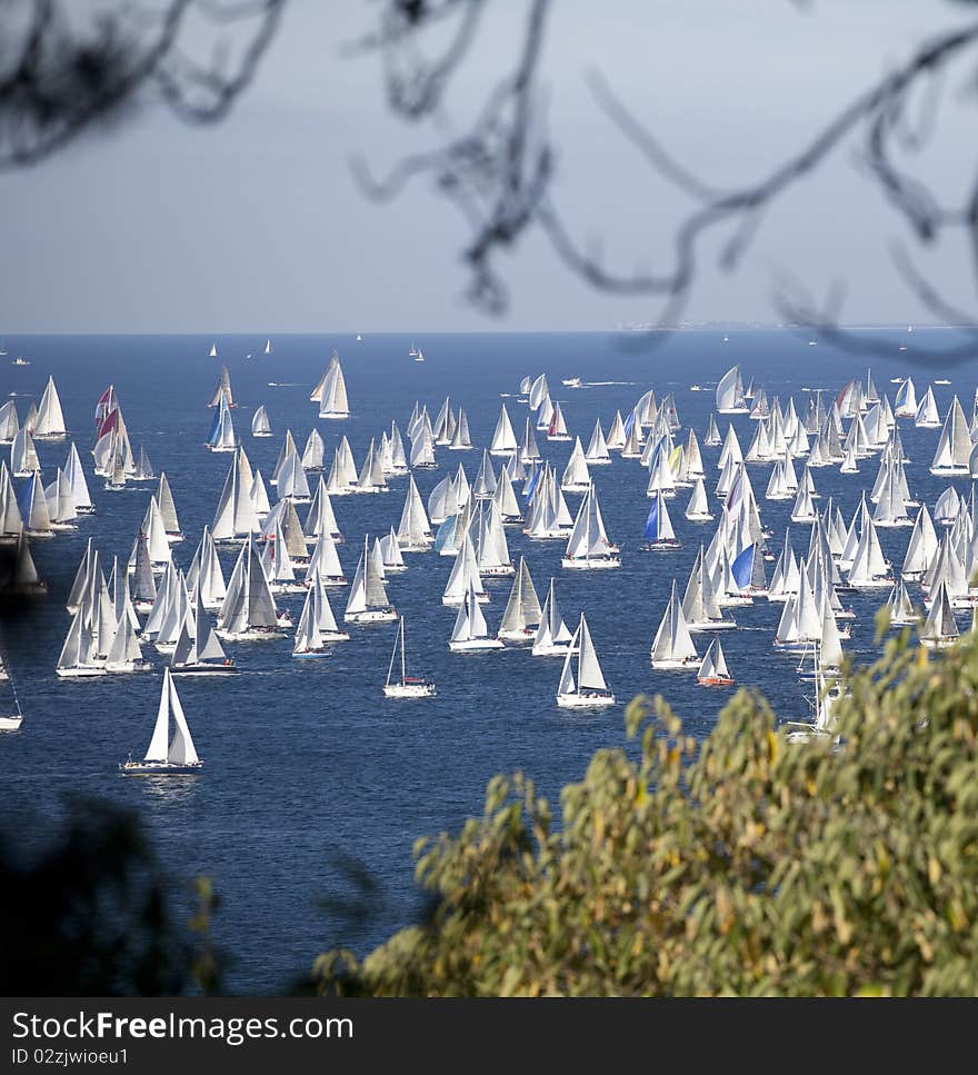 Barcolana, The Trieste regatta