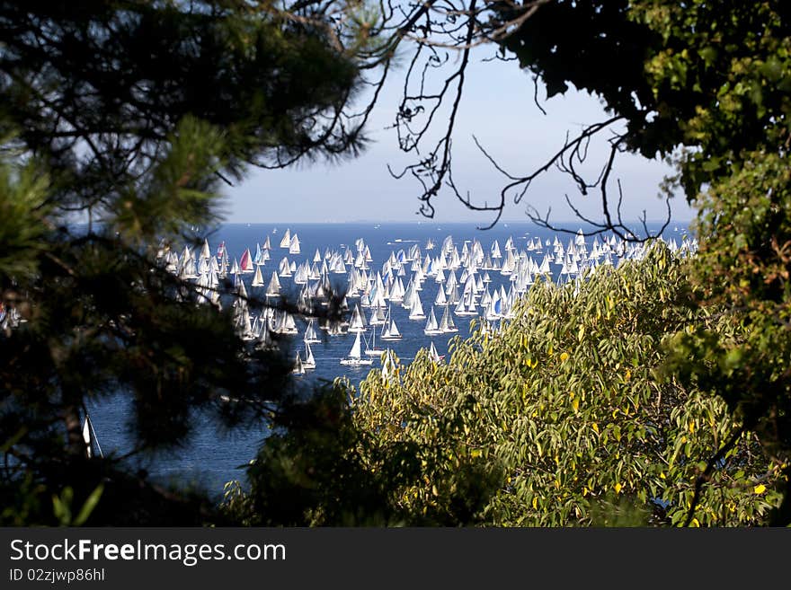 Barcolana, The Trieste regatta