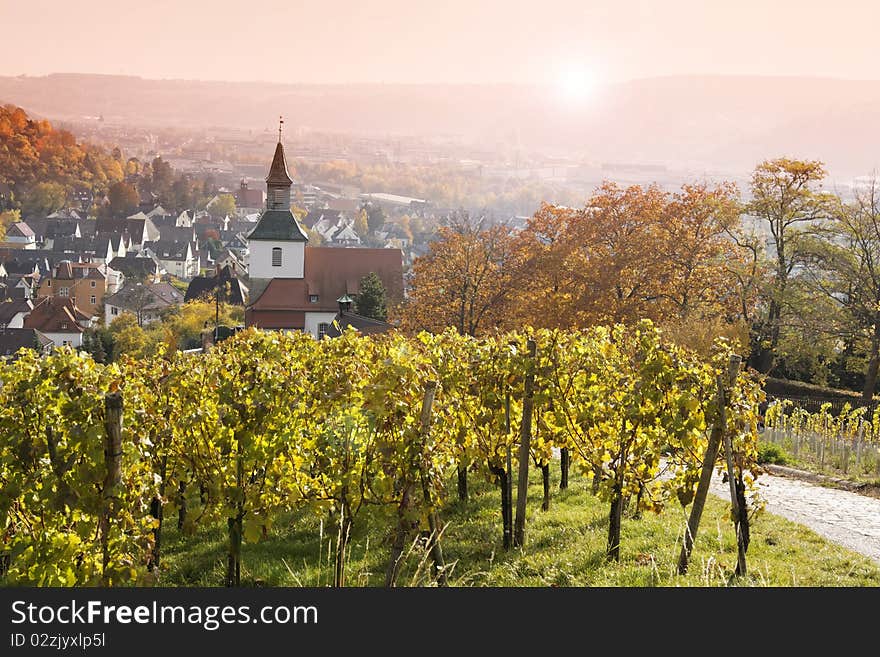 Vineyard - Uhlbach