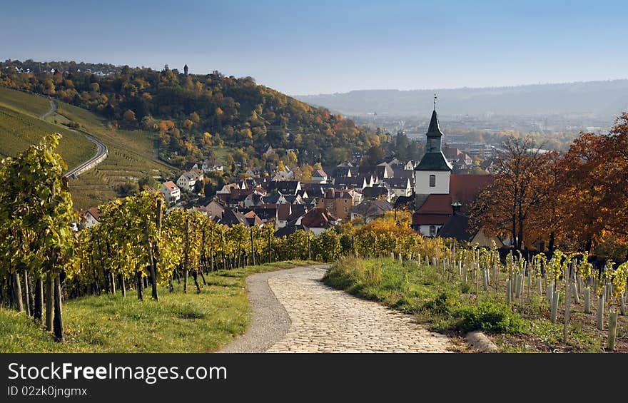 Vineyard - Uhlbach