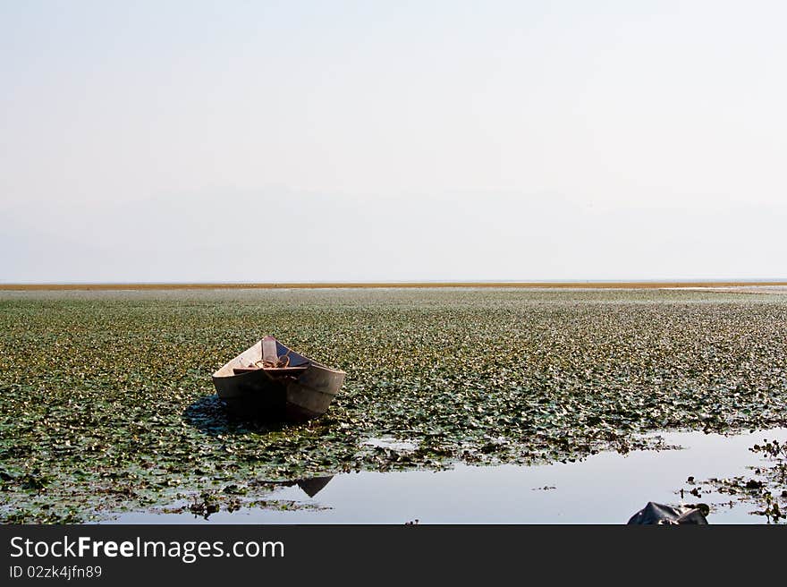 Boat in water lilies, National park