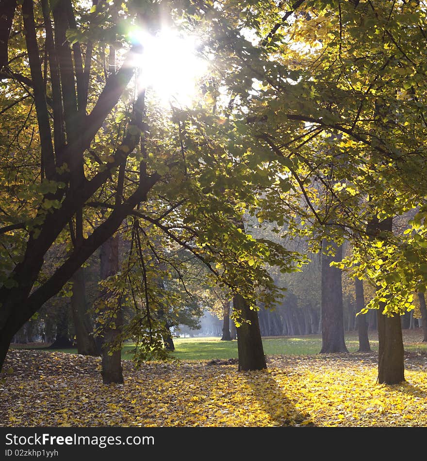 Park with trees in autumn in Stuttgart, Germany