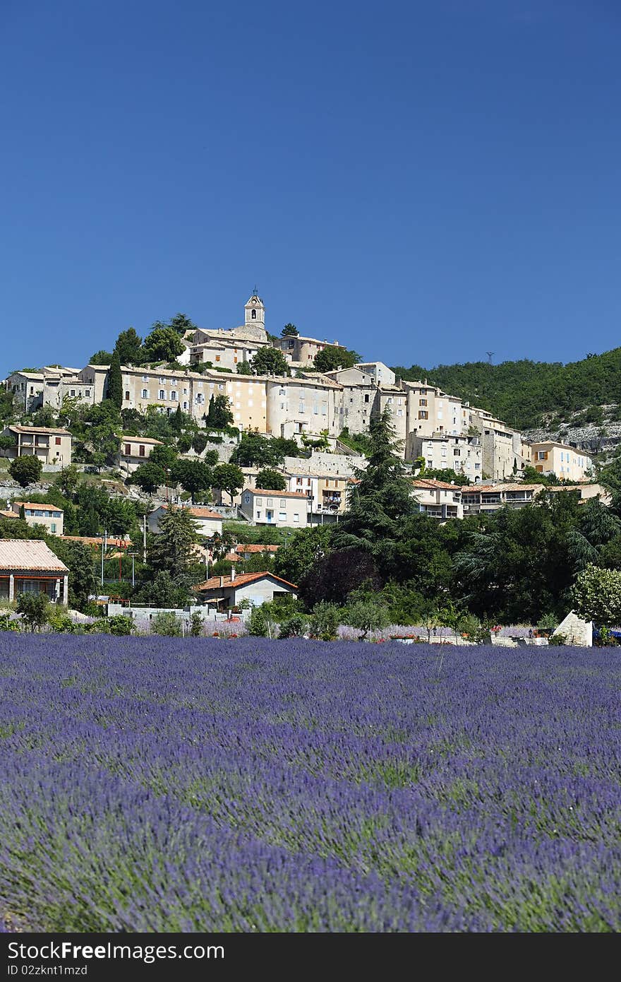 Lavender, town and blue sky