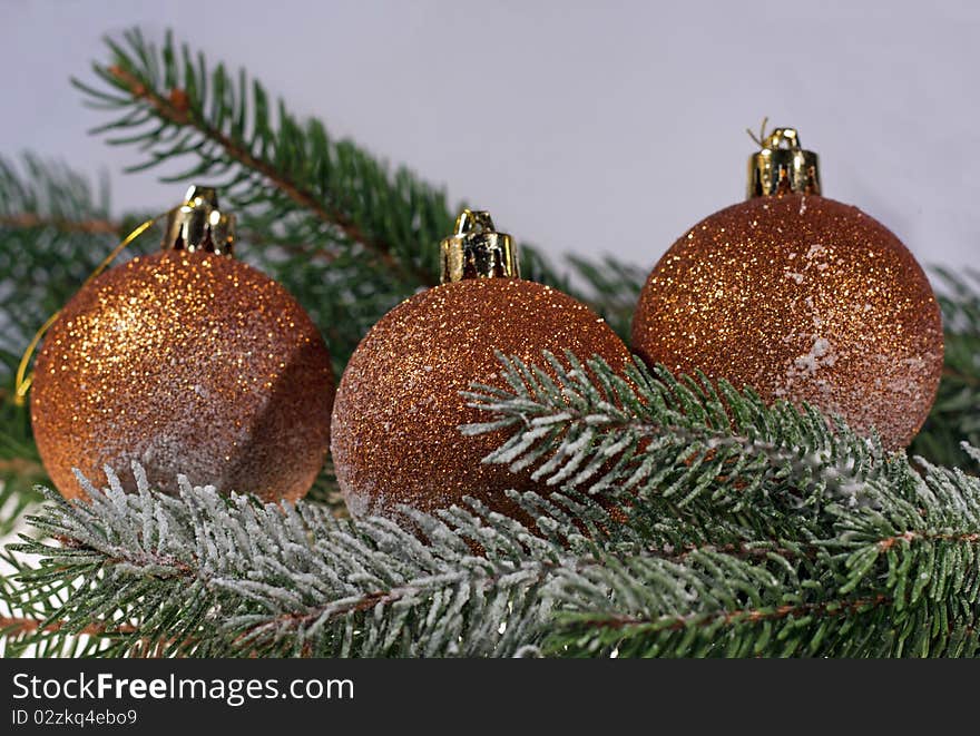 Christmas decoration, bronze christmas balls on spruce branch