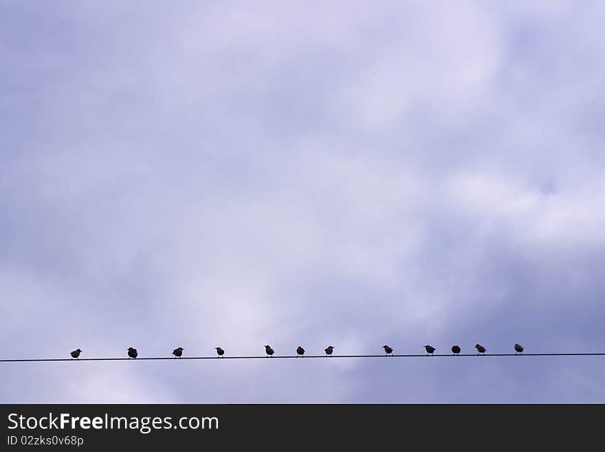 Birds sitting on a wire against the sky