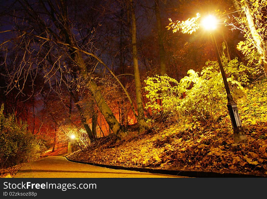 Park In The Autumn Season