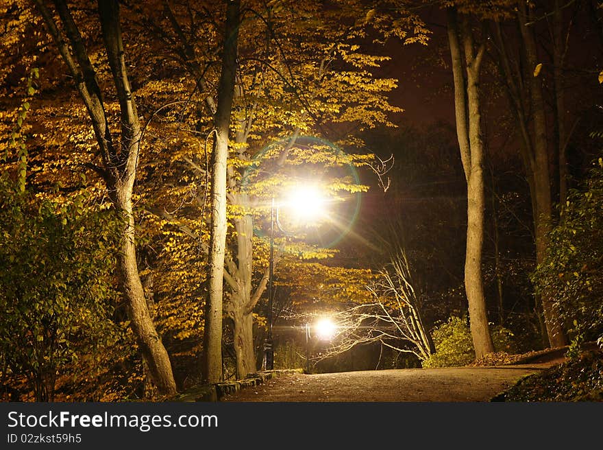 Park in the autumn season at night