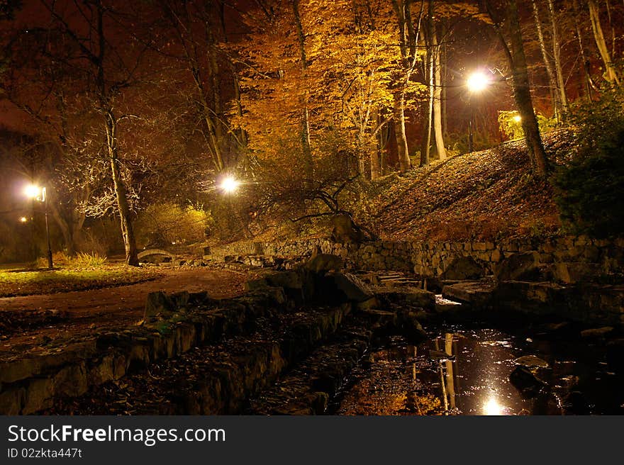 Pond in autumn park at night