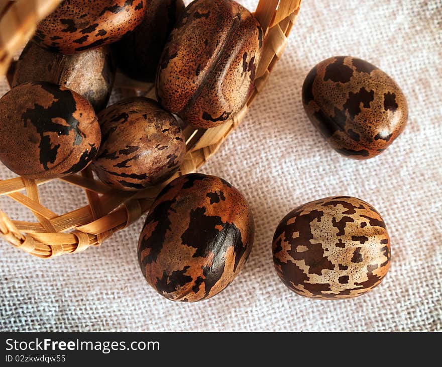 Rubber seeds. This is the seed of the rubber industry - Hevea brasiliensis