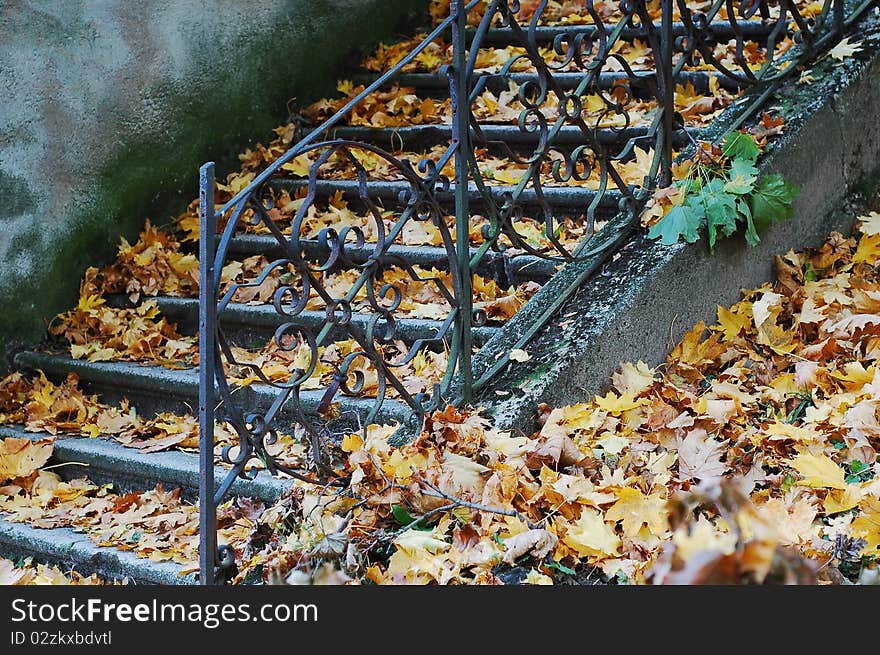 Historic staircase in old park under the fallen autumn leaves. Historic staircase in old park under the fallen autumn leaves