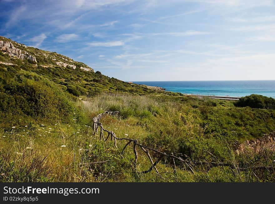 Menorcan landscape