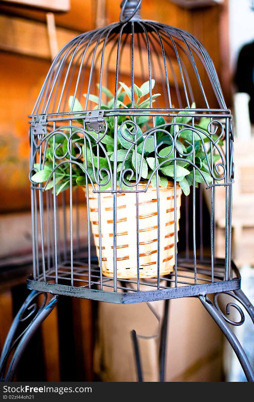 Potted plant grows in a birdcage . Potted plant grows in a birdcage .