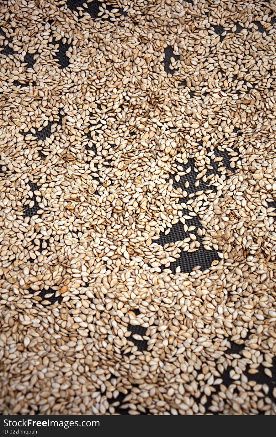 Seeds, Seed grain, texture background