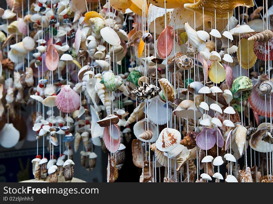 Craft Shells Hang