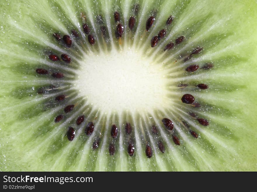 Fruit kiwi isolated in close up macro isolated