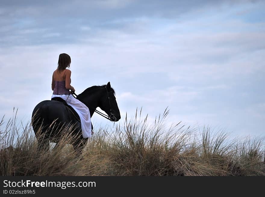 Young woman and her black stallion in a field. Young woman and her black stallion in a field