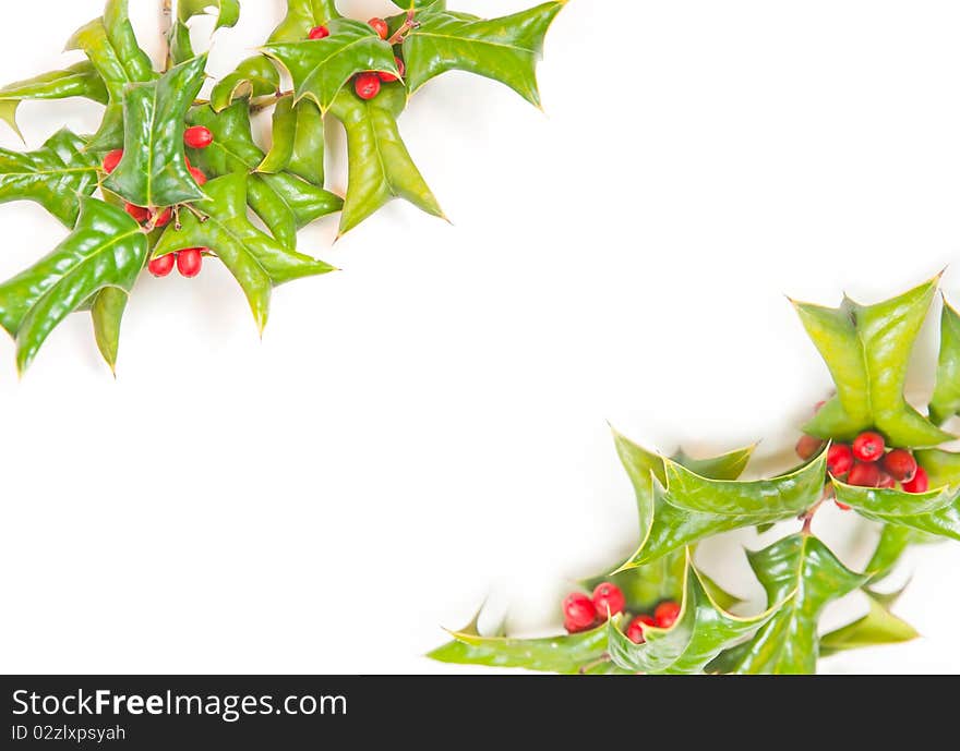 Christmas framework with holly berry isolated on white background. Christmas framework with holly berry isolated on white background