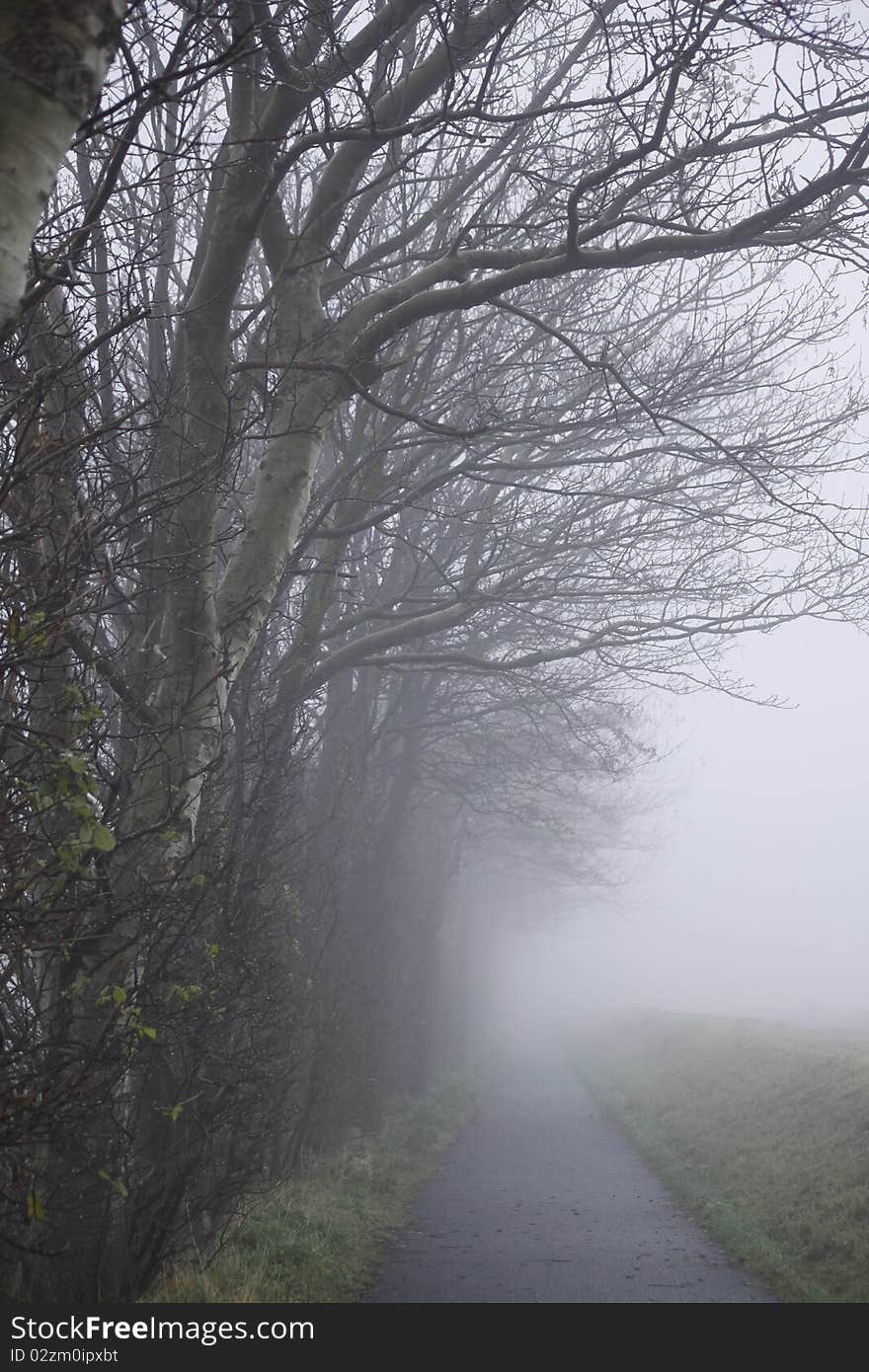 Walking down the fog