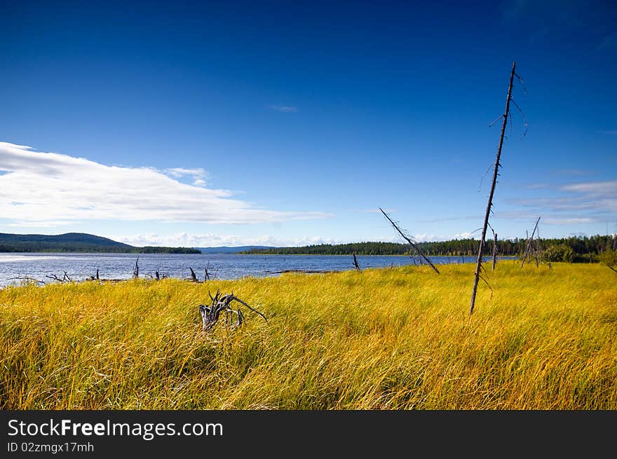 Landscape nature north of Russia. Nature Circumpolar summer