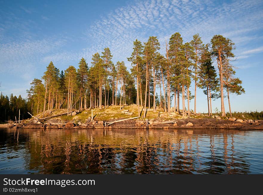 Summer evening in the north. island with the trees lit up the evening sun light