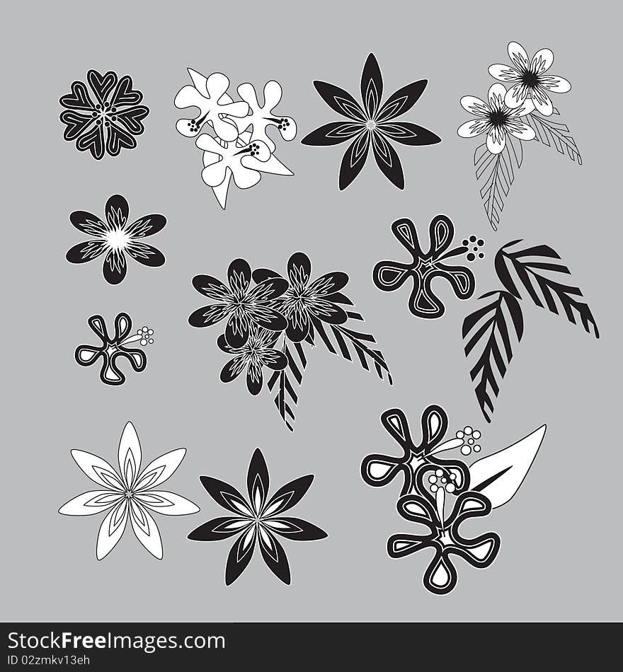 A set of beautiful flowers of different shapes. A set of beautiful flowers of different shapes