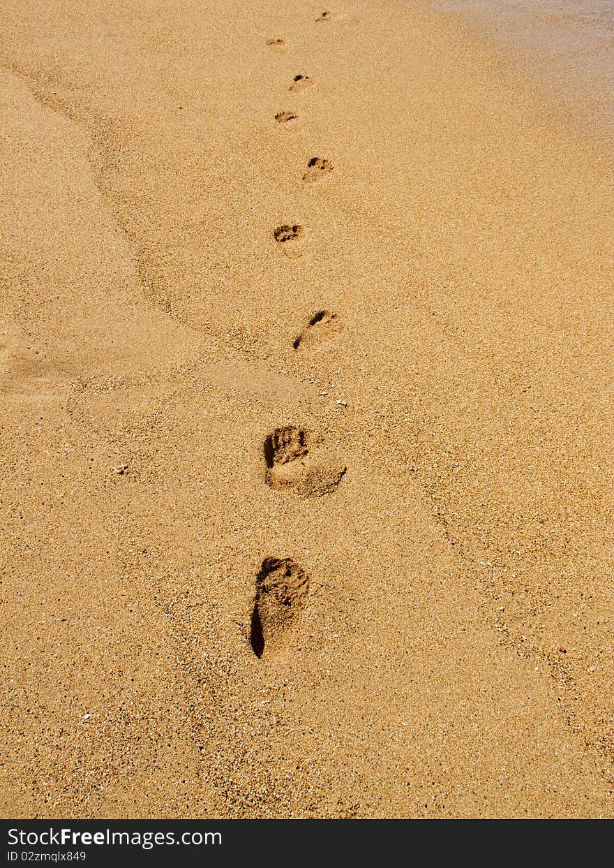 Footprints On The Beach