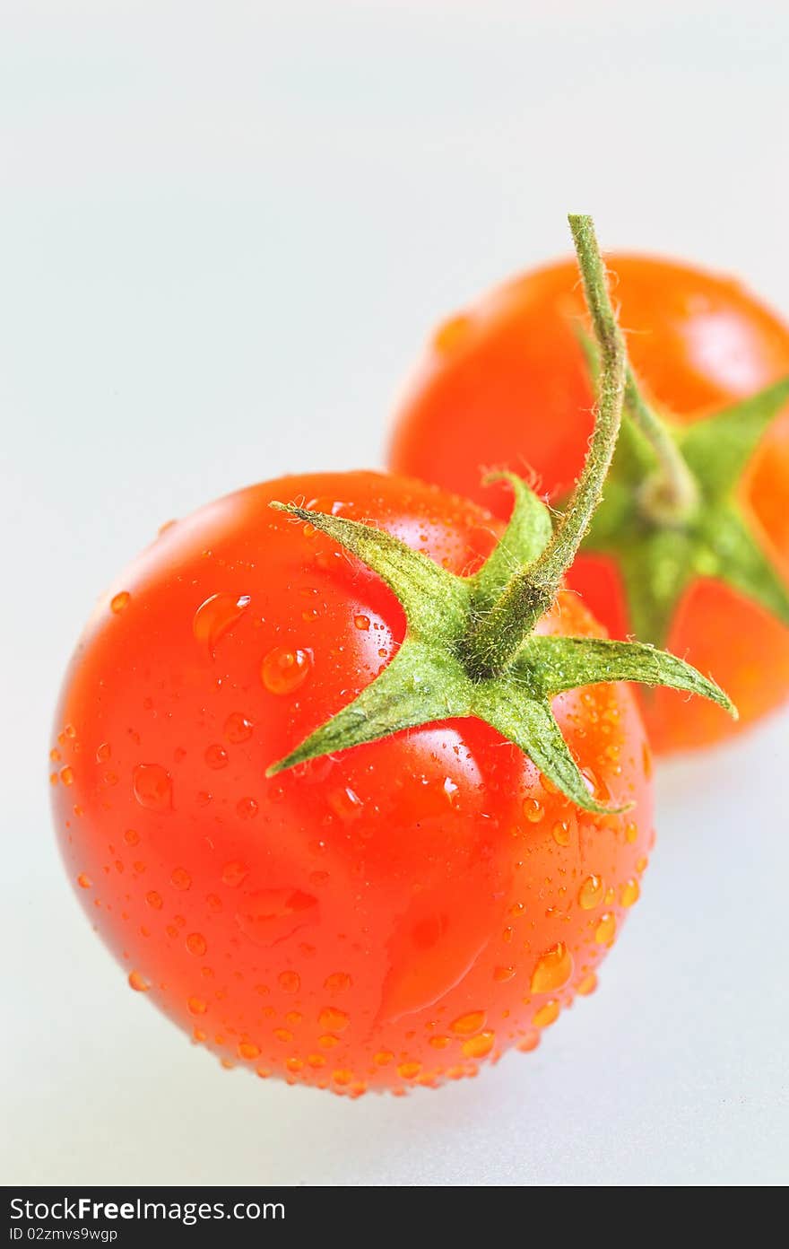 Red tomato with water drops