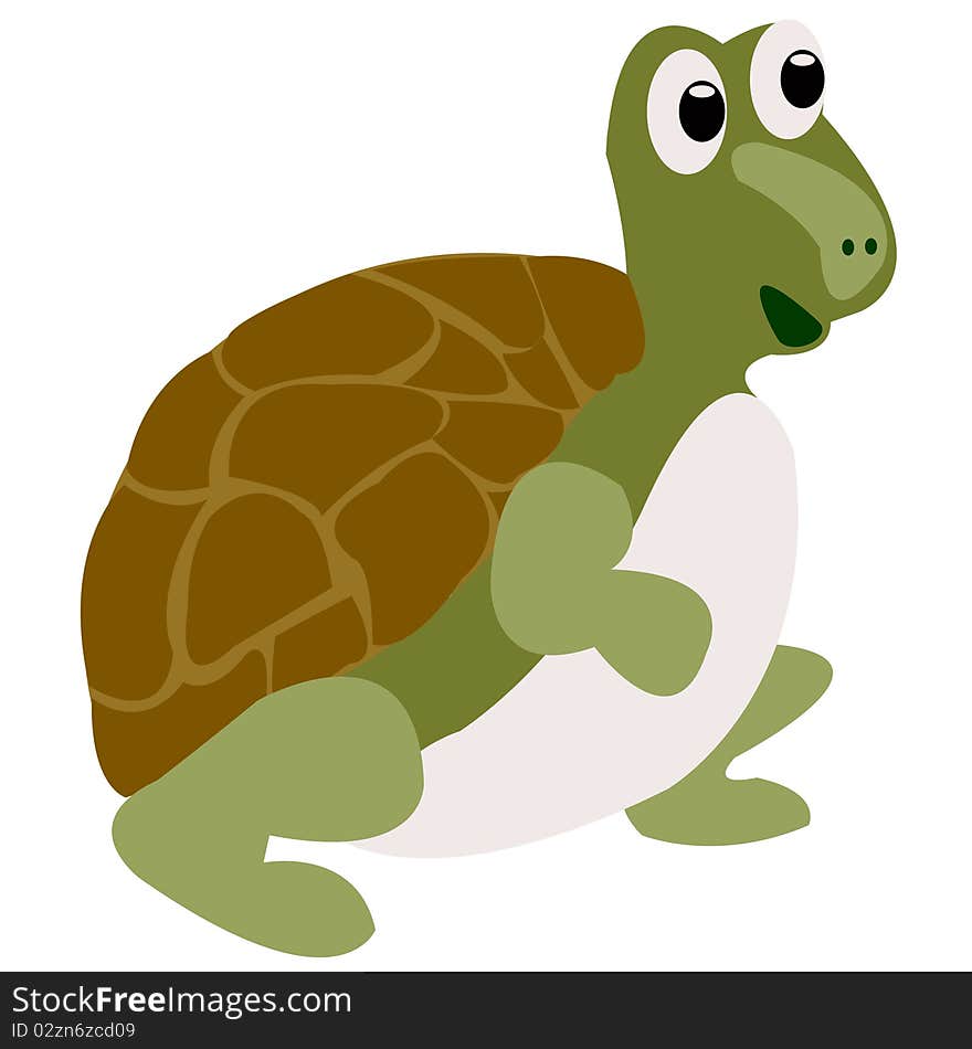 Drawing of the merry terrapin