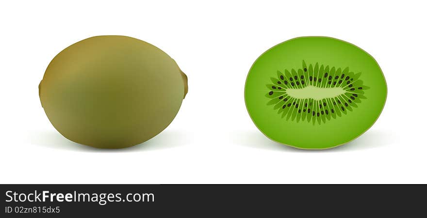 Kiwi on a white background