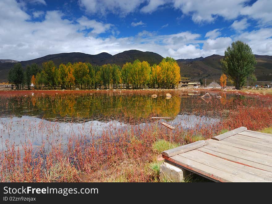 Tibetan landscape