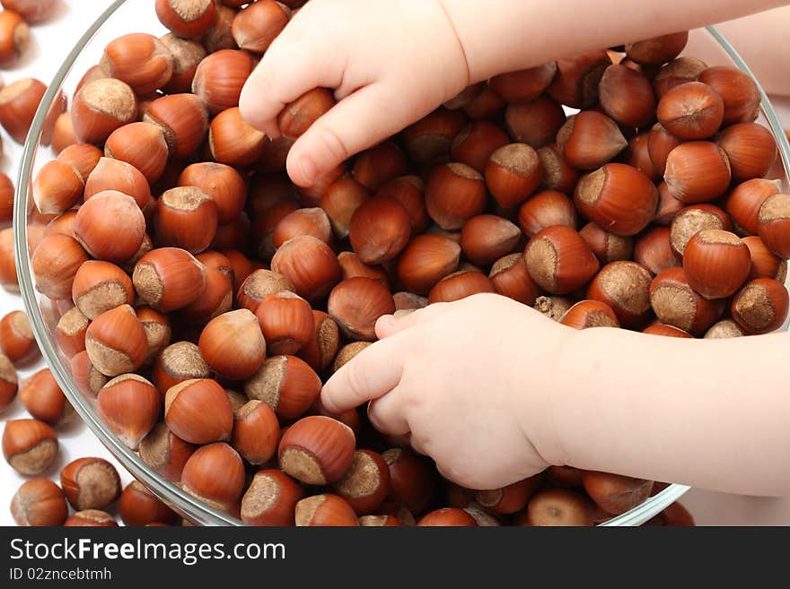 Close-up of baby's hands touching hazelnuts in the glass bowl on the white background. Close-up of baby's hands touching hazelnuts in the glass bowl on the white background