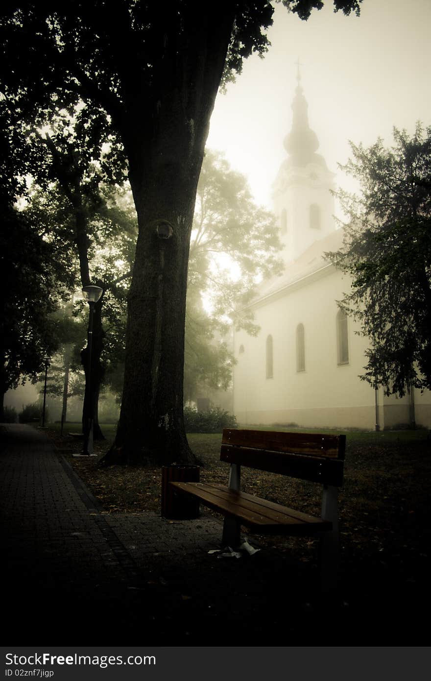 Photo of a park in the morning. Photo of a park in the morning