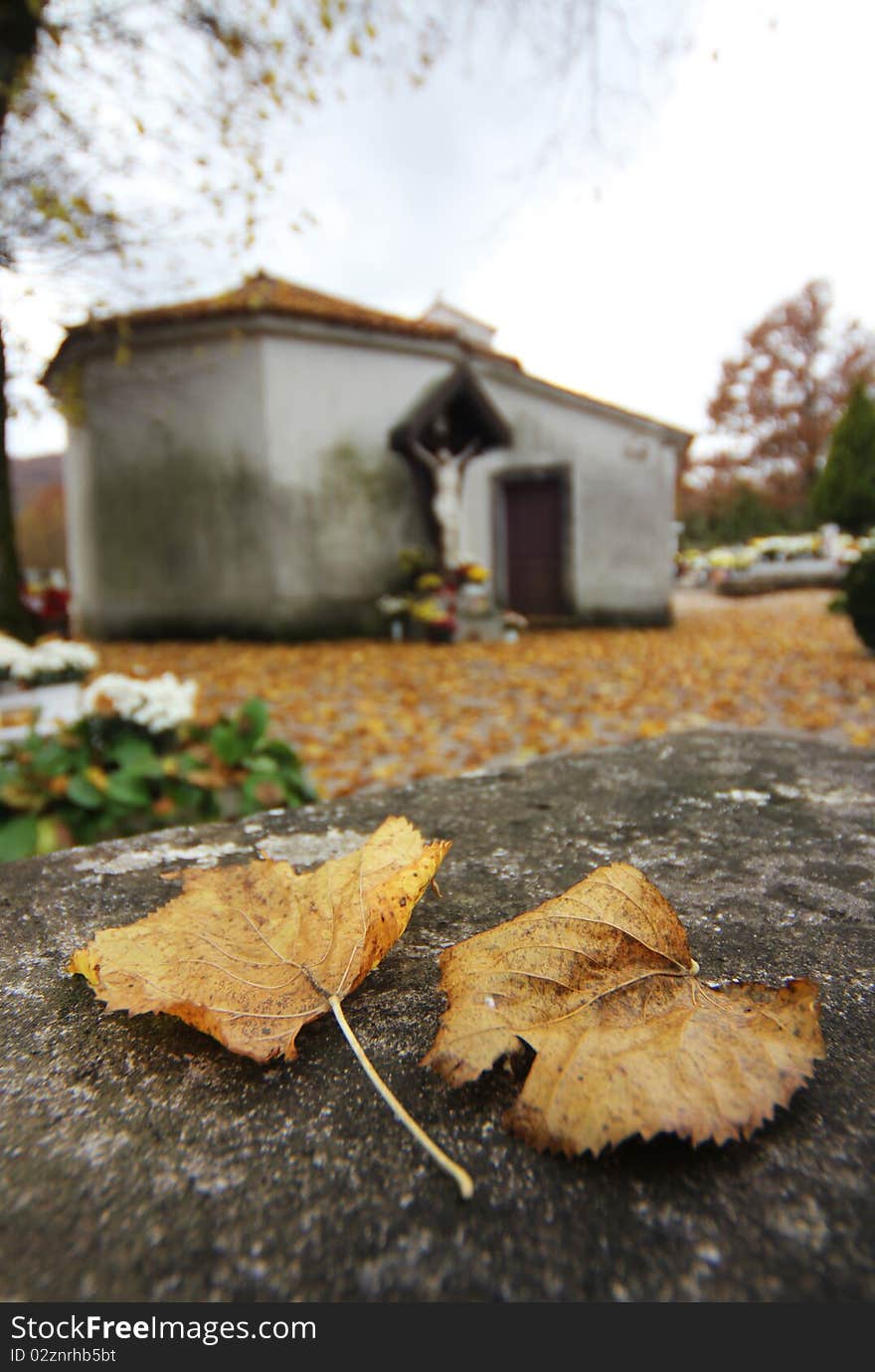 Catholic church