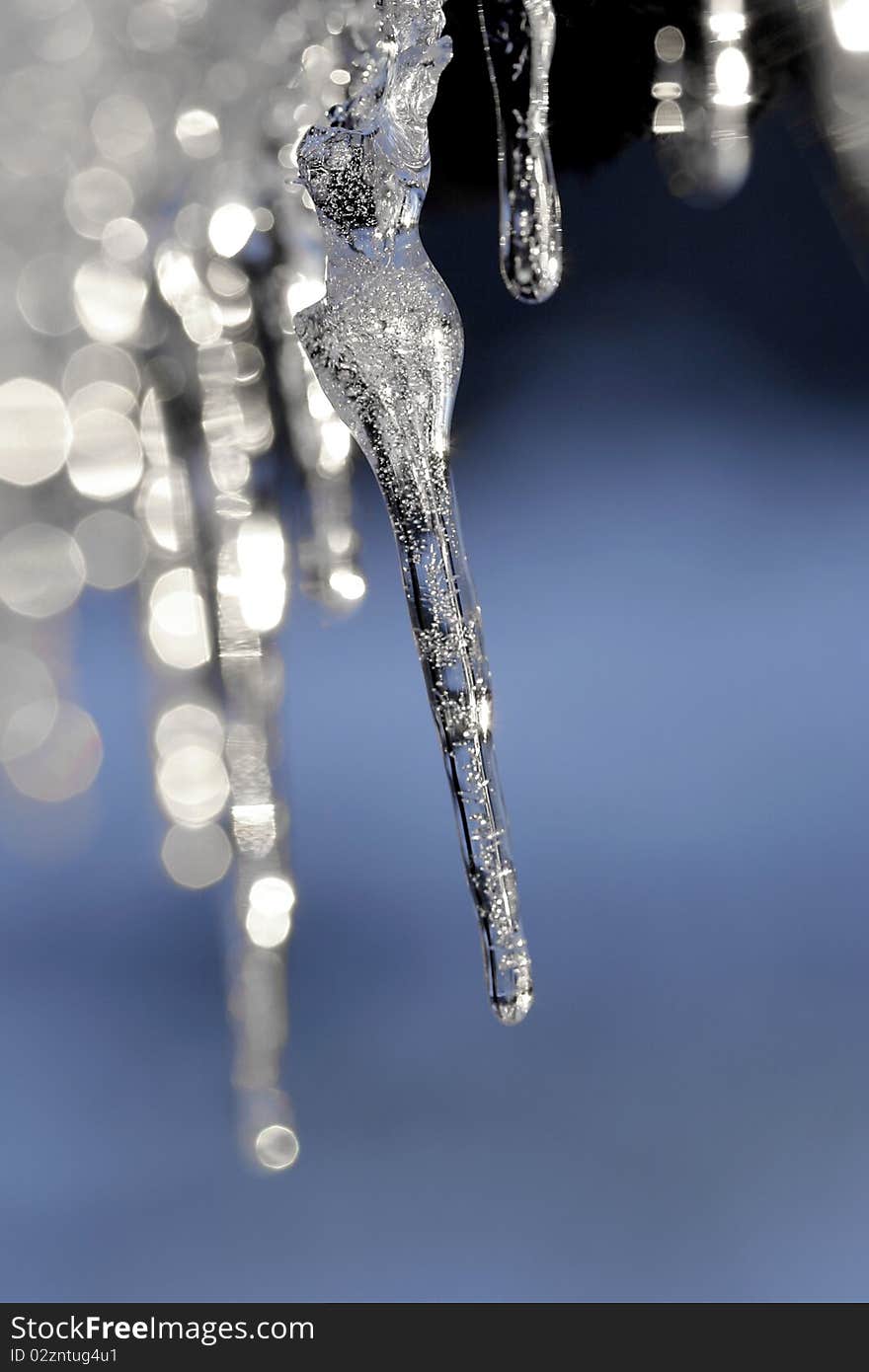 Icycles hanging from the roof