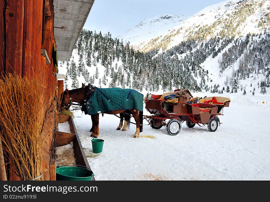 Horse and sledge